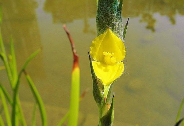 10384668_703280963102062_5100398968594368353_n