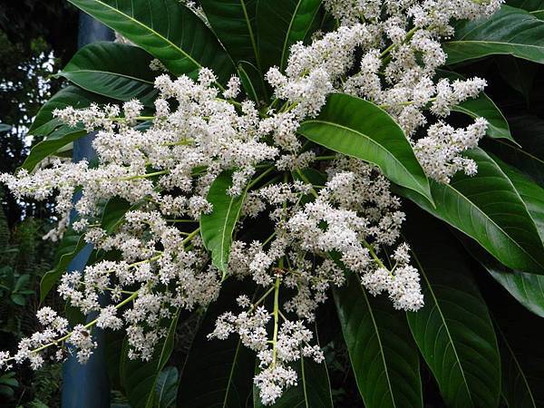 10425494_816058081790959_6205164527591831420_n