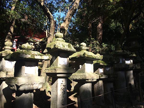 2014-11-16 12.57.55 2014-11-16 12.57.55