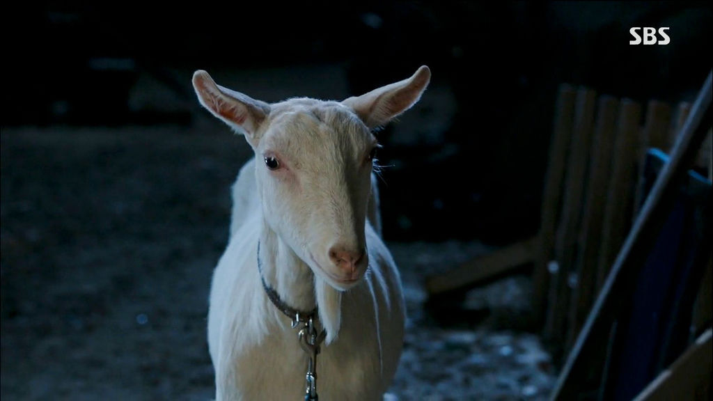 HJM_E05_080 HJM_E05_080