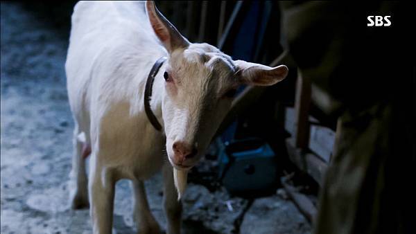 HJM_E06_005 HJM_E06_005