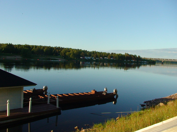 青翠的河堤,茂密的路樹,平靜清澈的河面