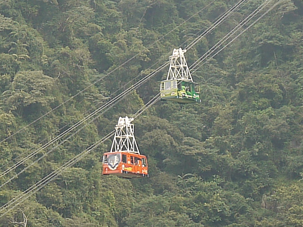 P1020026.JPG