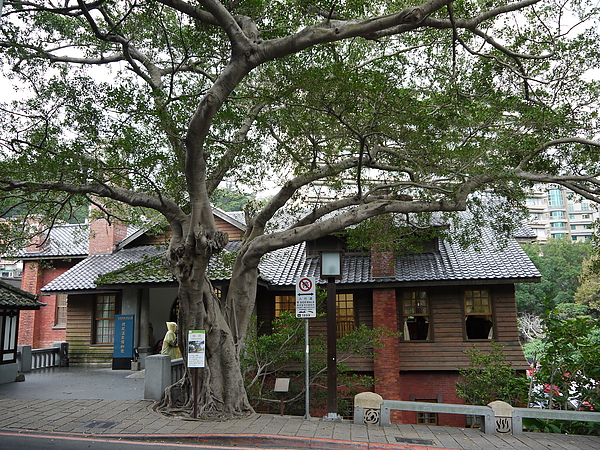 P1020296.JPG