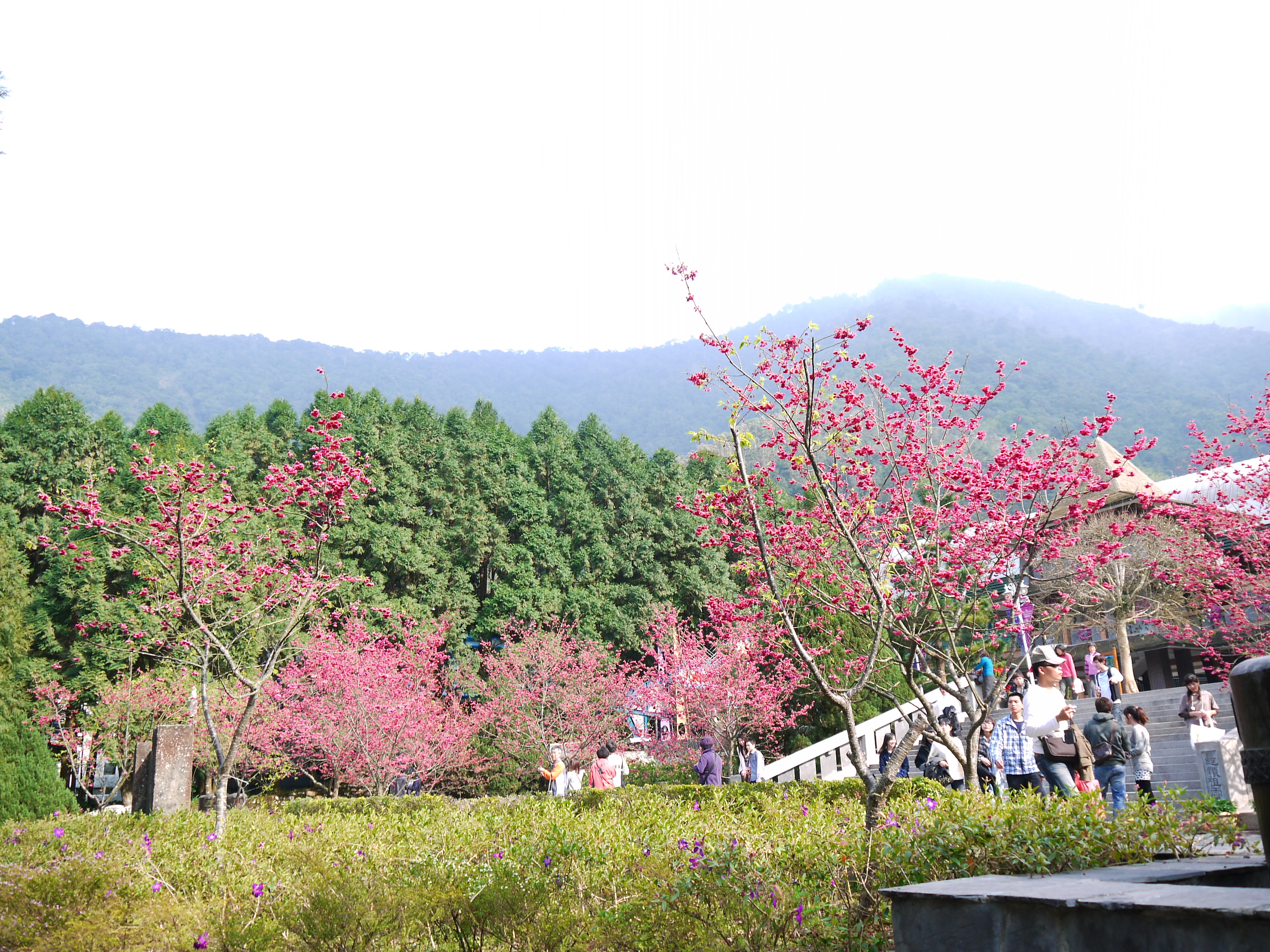 P1040743.JPG