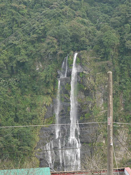 P1020029.JPG