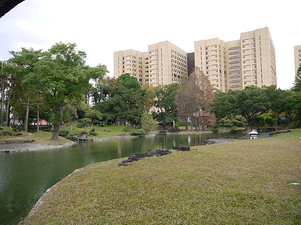 P1030170.JPG