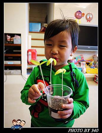 20121127_我照顧的005 20121127_我照顧的005
