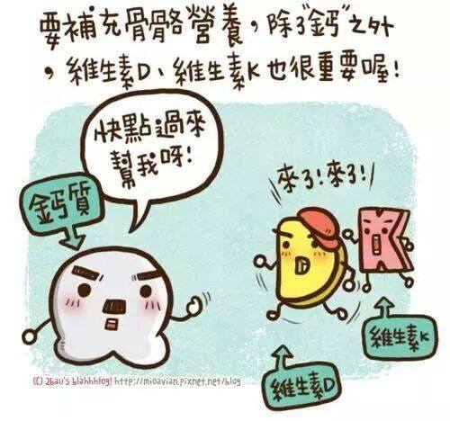 10553361_10204185488137565_8236313029429170825_n