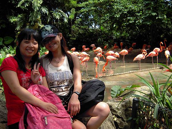 感謝好心的路人 感謝好心的路人