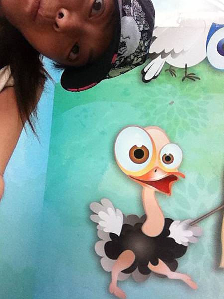 鴕鳥教授 鴕鳥教授