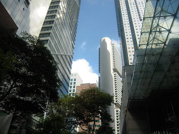 大樓林立的城市 大樓林立的城市