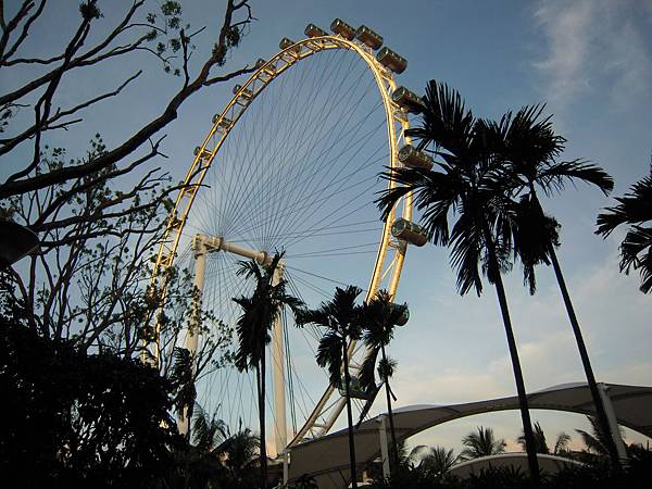 摩天輪到了 摩天輪到了