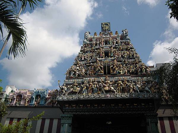 特別的屋頂 特別的屋頂