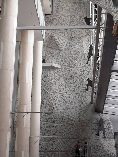 室內攀岩 室內攀岩