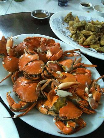 IMG_0041.JPG IMG_0041.JPG