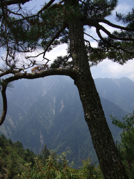 玉山 053.jpg 玉山 053.jpg