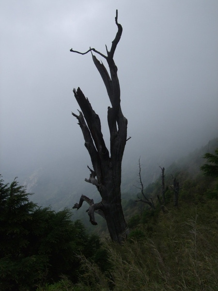 玉山 072.jpg 玉山 072.jpg