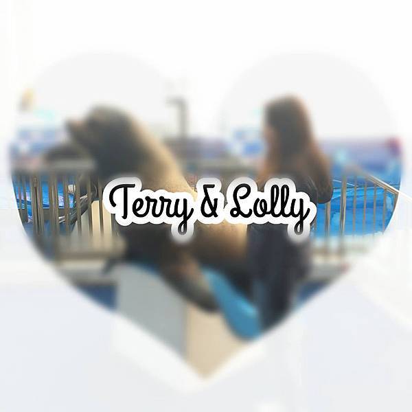 10958705_1035208526506116_7834155650671374023_o 10958705_1035208526506116_7834155650671374023_o