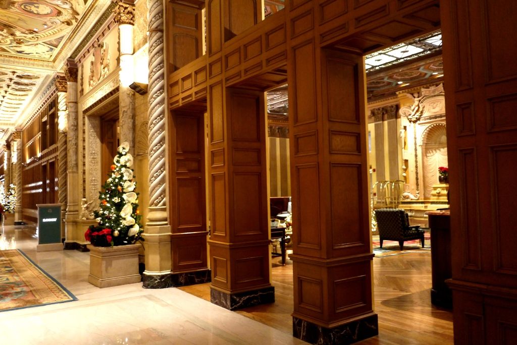 P1000487.JPG P1000487.JPG