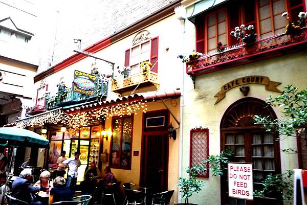 P1000568.JPG P1000568.JPG