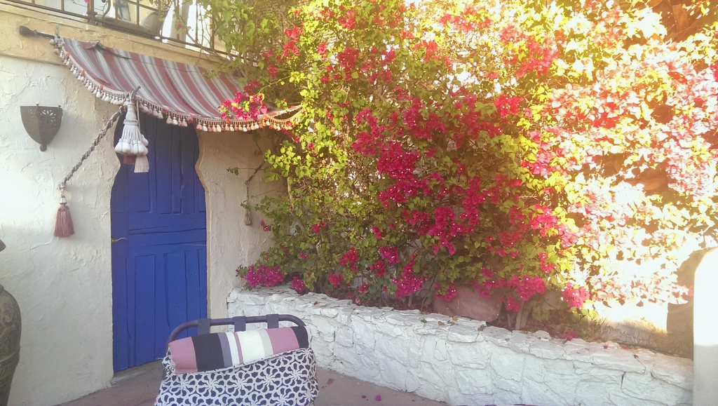 IMAG0188.jpg IMAG0188.jpg