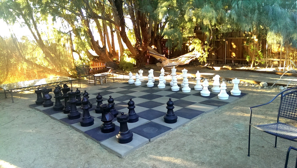 IMAG0198_1.jpg IMAG0198_1.jpg