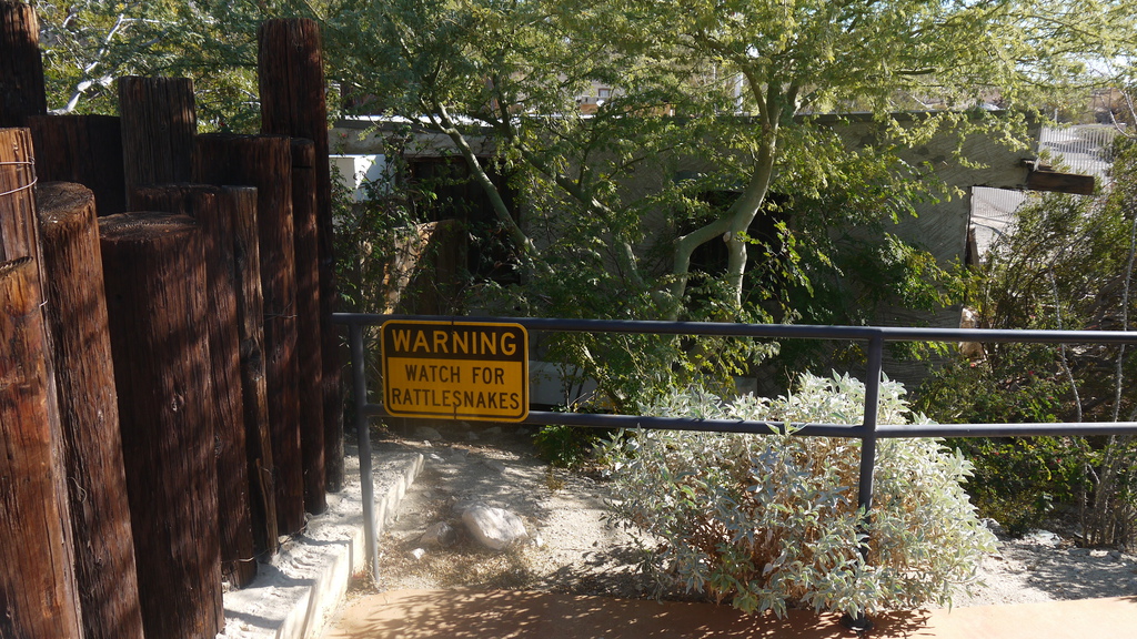 P1040456.JPG P1040456.JPG