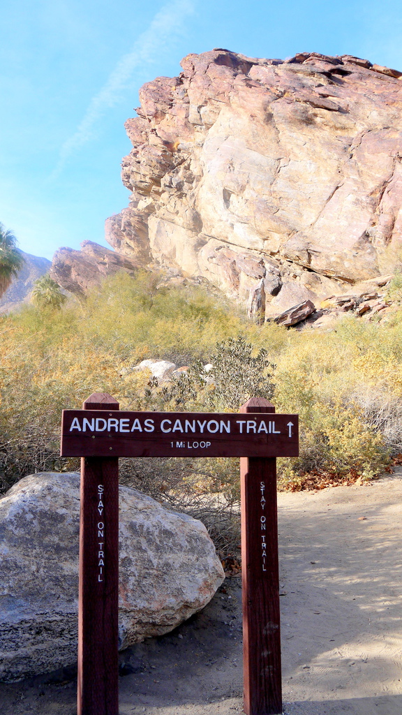 P1040474.JPG P1040474.JPG