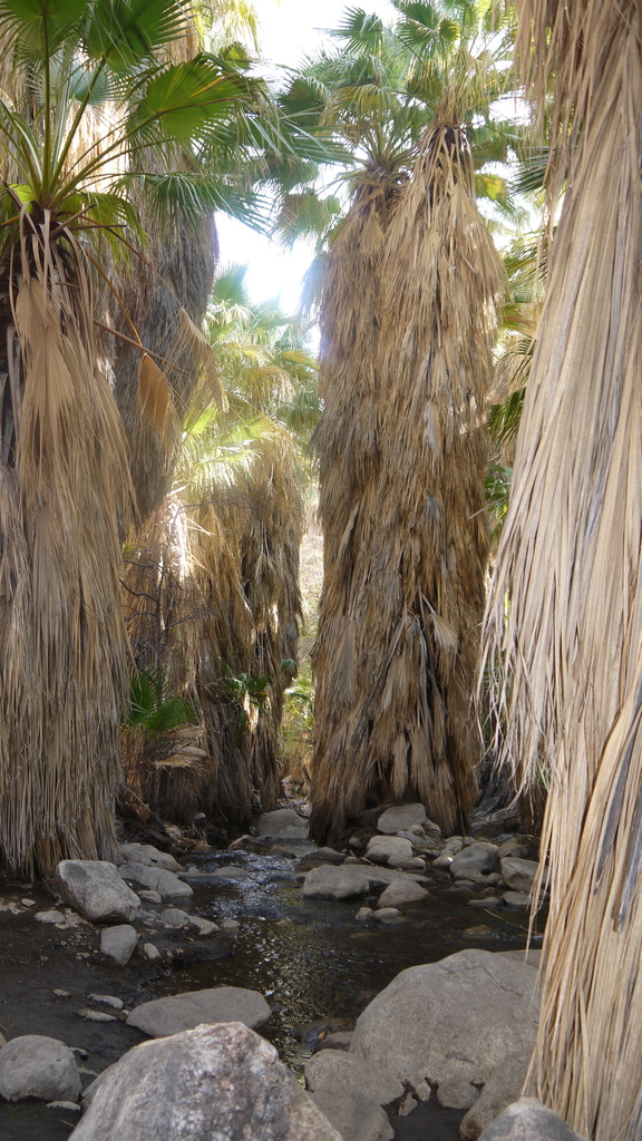 P1040478.JPG P1040478.JPG