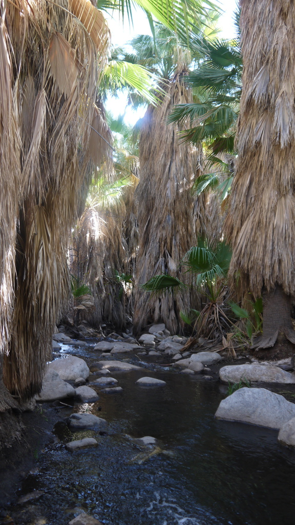 P1040482.JPG P1040482.JPG