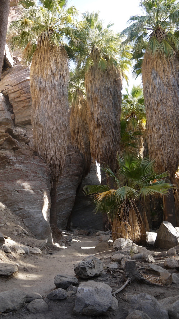 P1040484.JPG P1040484.JPG