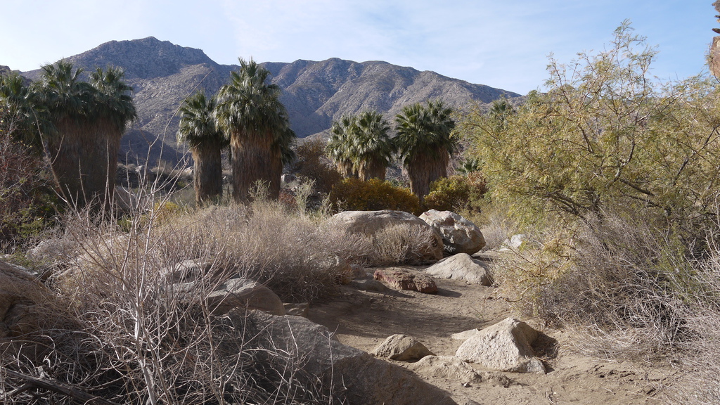 P1040487.JPG P1040487.JPG