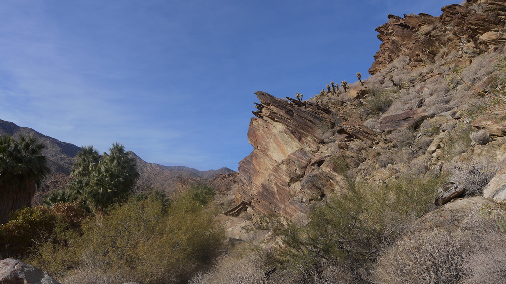 P1040488.JPG P1040488.JPG