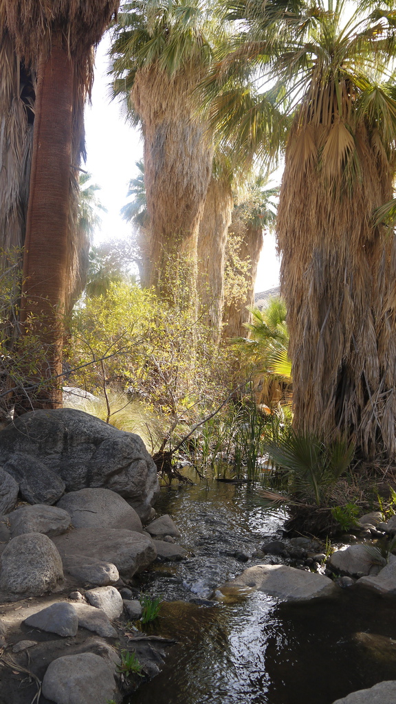 P1040490.JPG P1040490.JPG