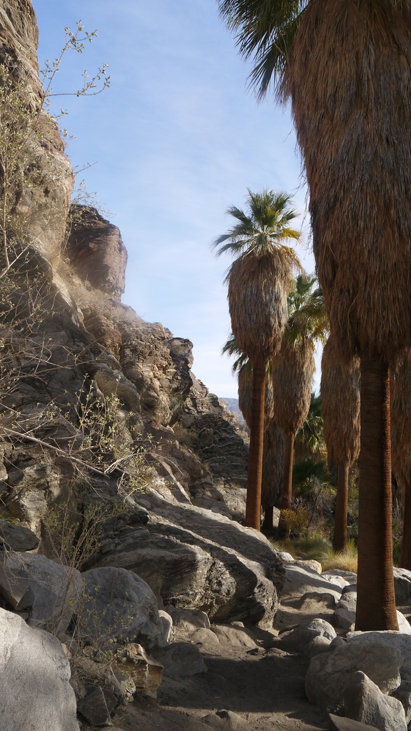 P1040492.JPG P1040492.JPG