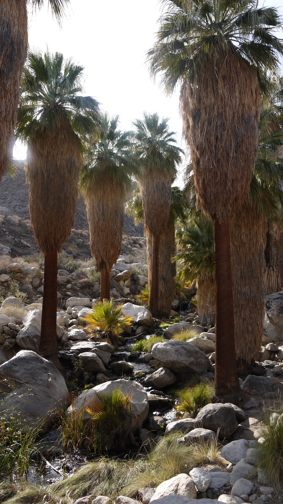 P1040496.JPG P1040496.JPG