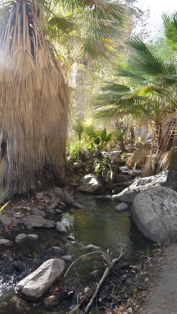 P1040498.JPG P1040498.JPG