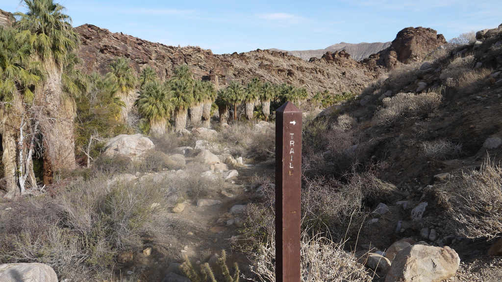 P1040505.JPG P1040505.JPG