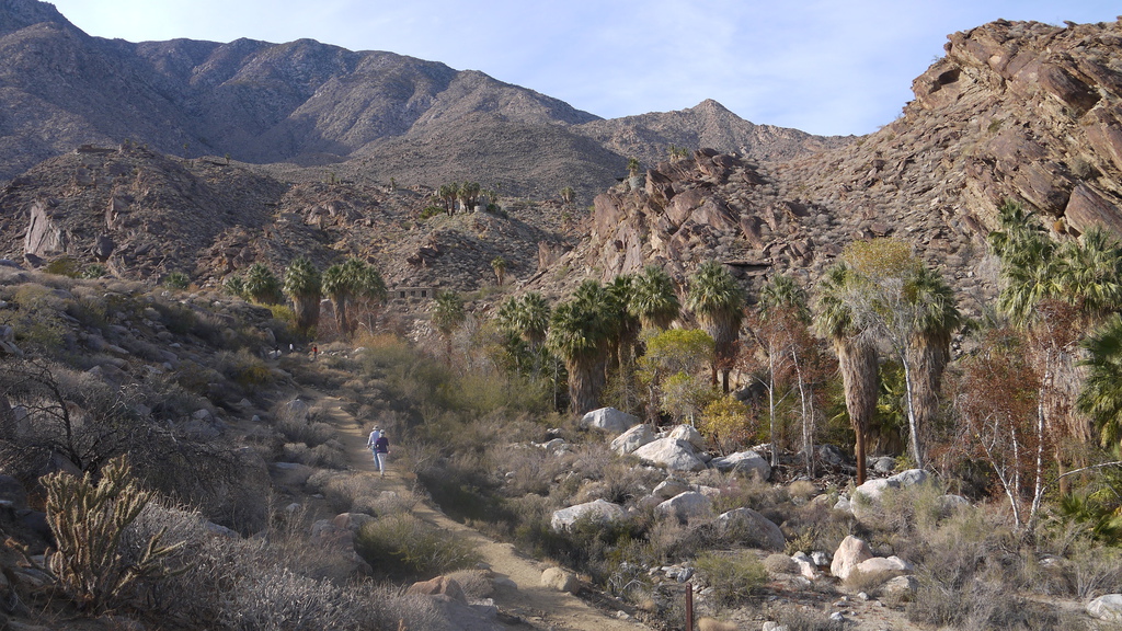 P1040506.JPG P1040506.JPG