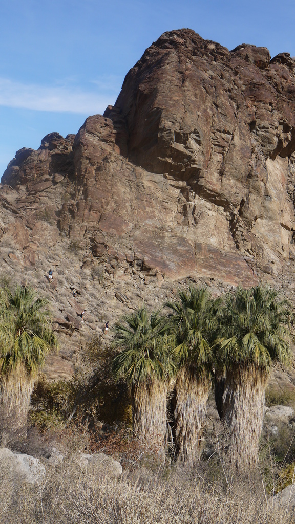 P1040510.JPG P1040510.JPG