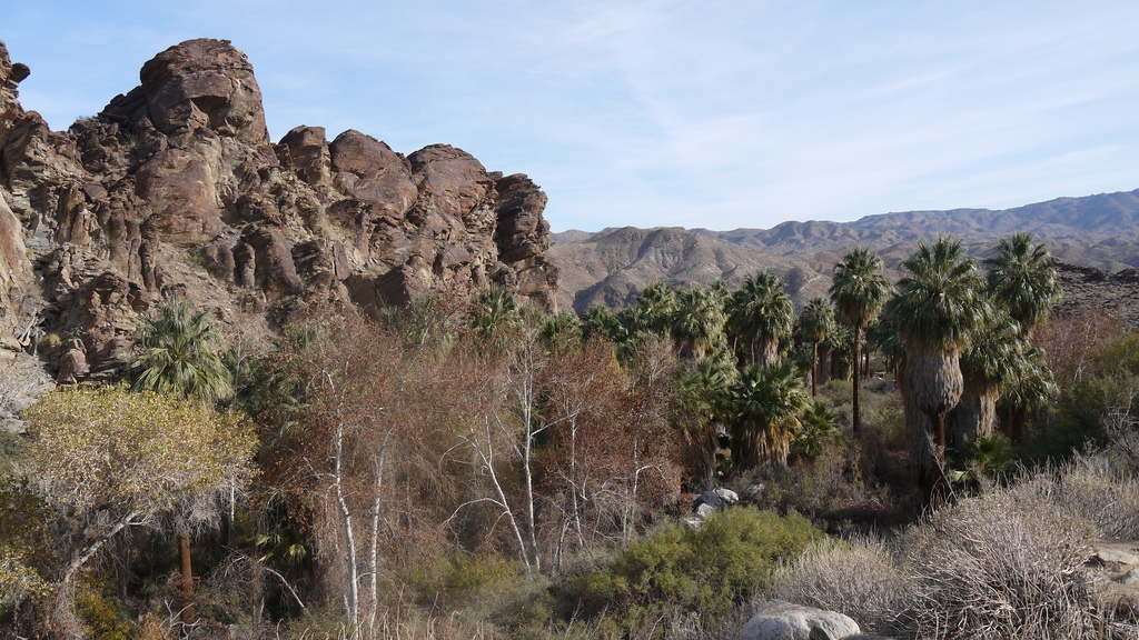 P1040511.JPG P1040511.JPG