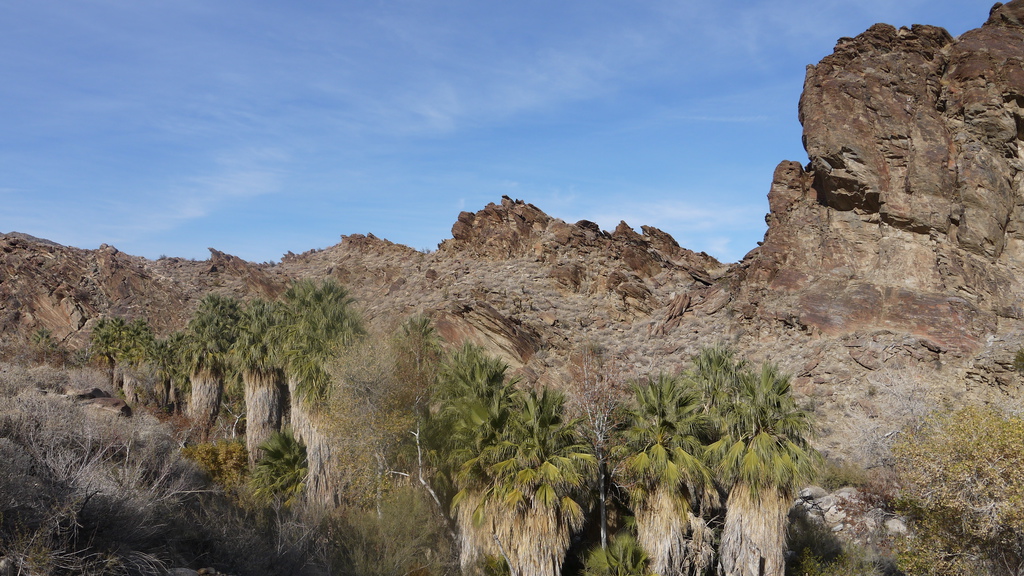 P1040513.JPG P1040513.JPG