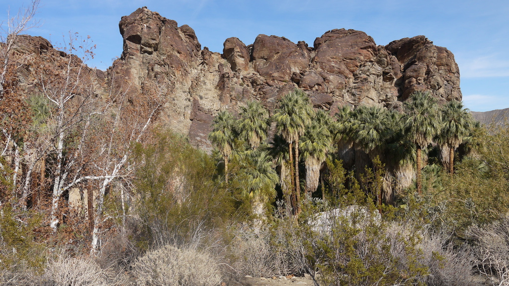 P1040518.JPG P1040518.JPG