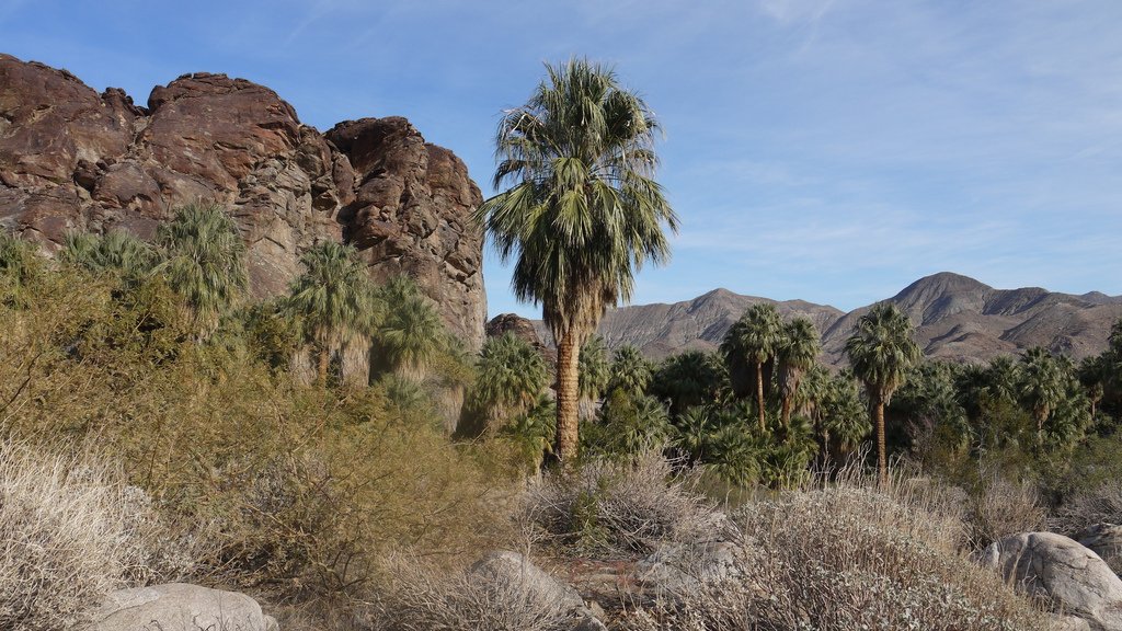 P1040519.JPG P1040519.JPG