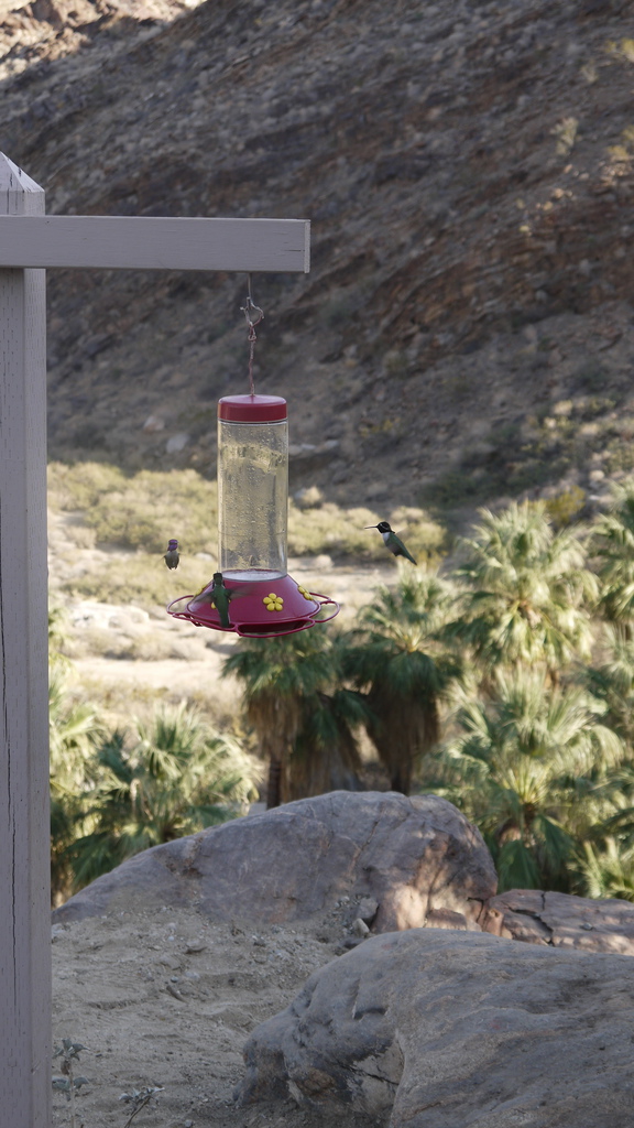 P1040533.JPG P1040533.JPG