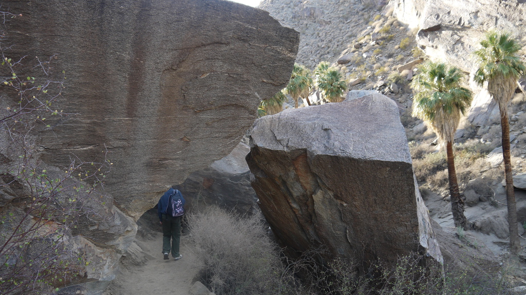 P1040534.JPG P1040534.JPG