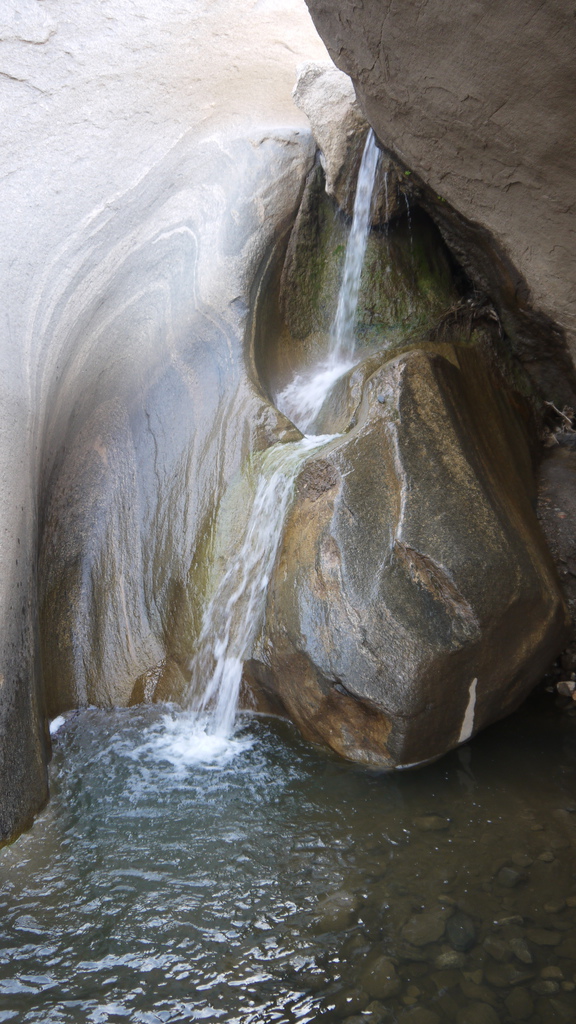 P1040537.JPG P1040537.JPG