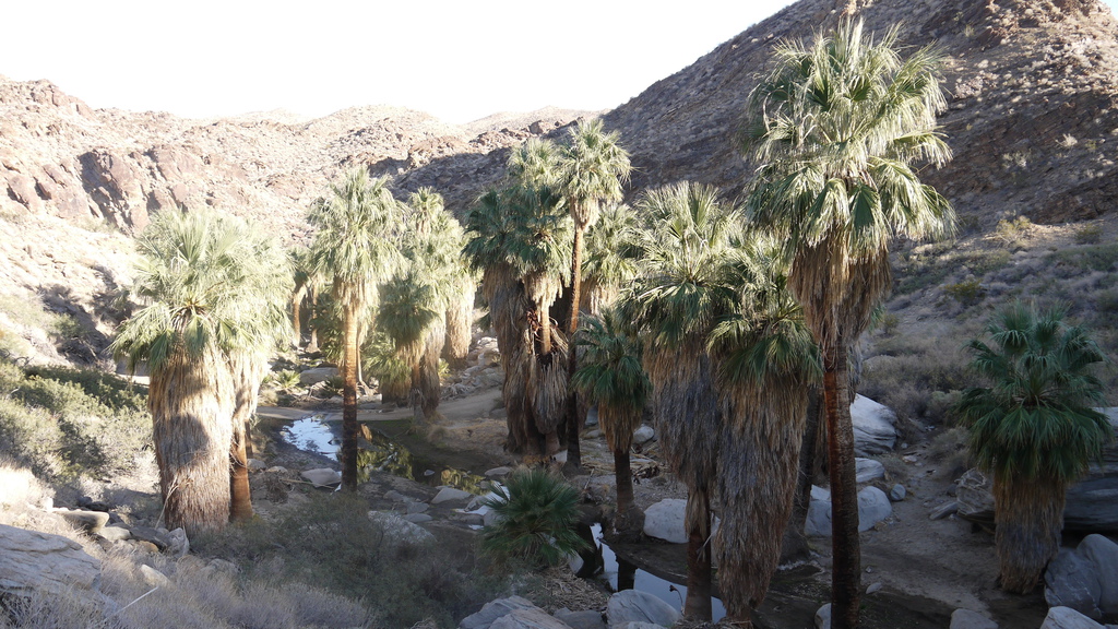 P1040541.JPG P1040541.JPG