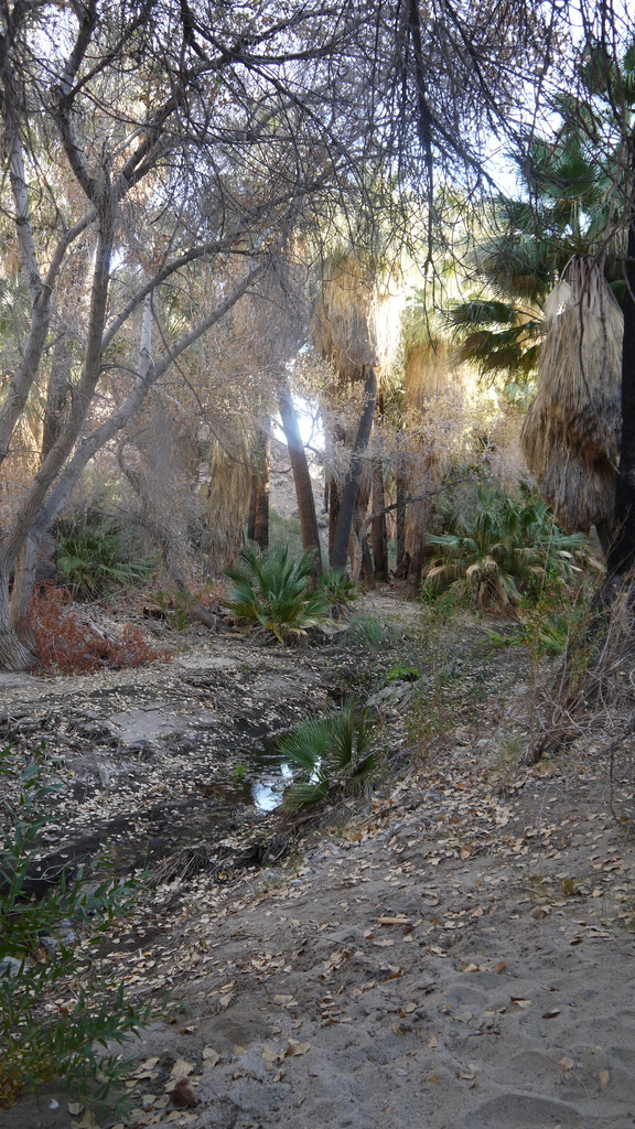 P1040545.JPG P1040545.JPG